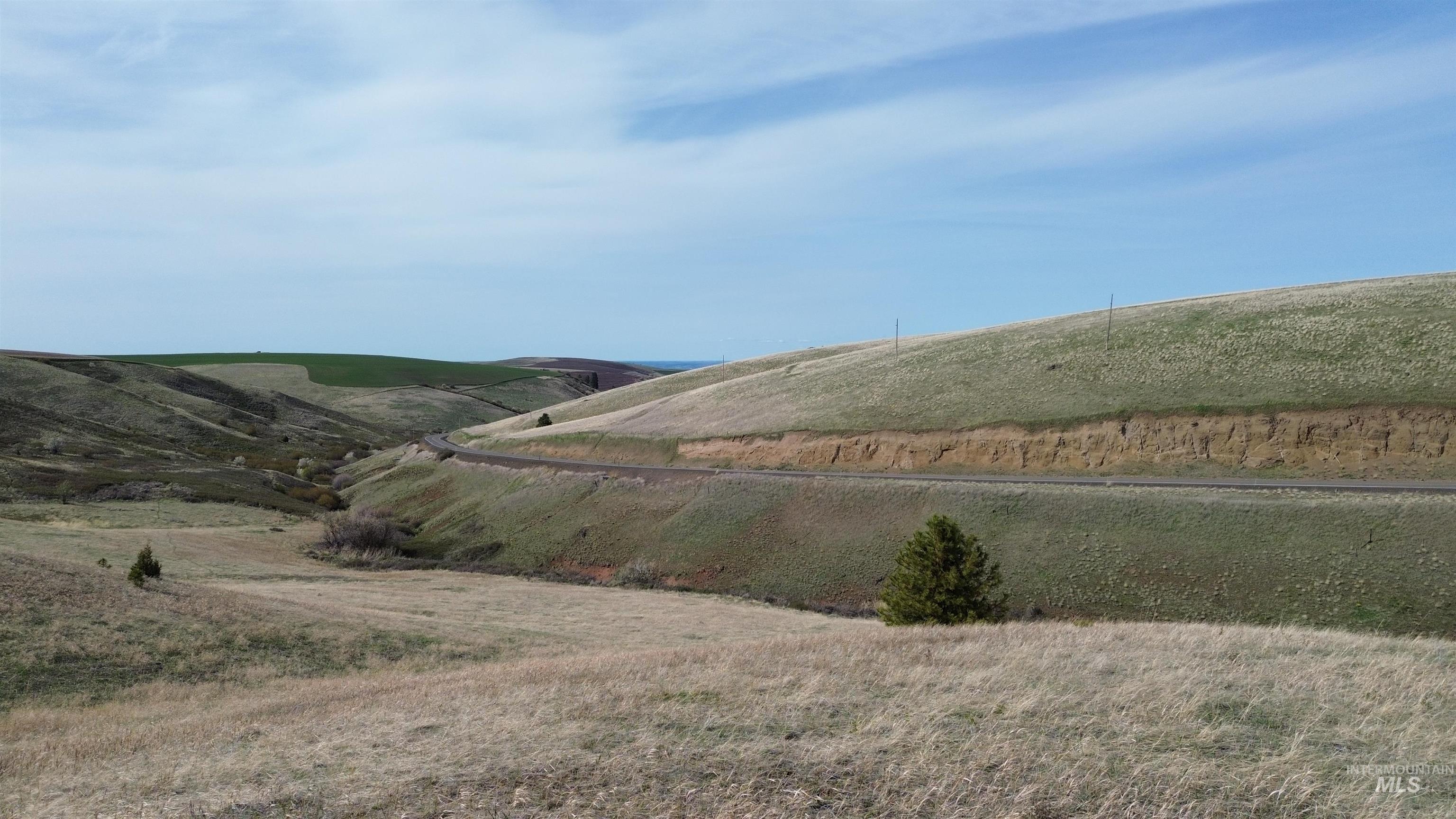 Nka Nka Blindgrade Road Pomeroy, WA 99347 - Photo 3 of 20