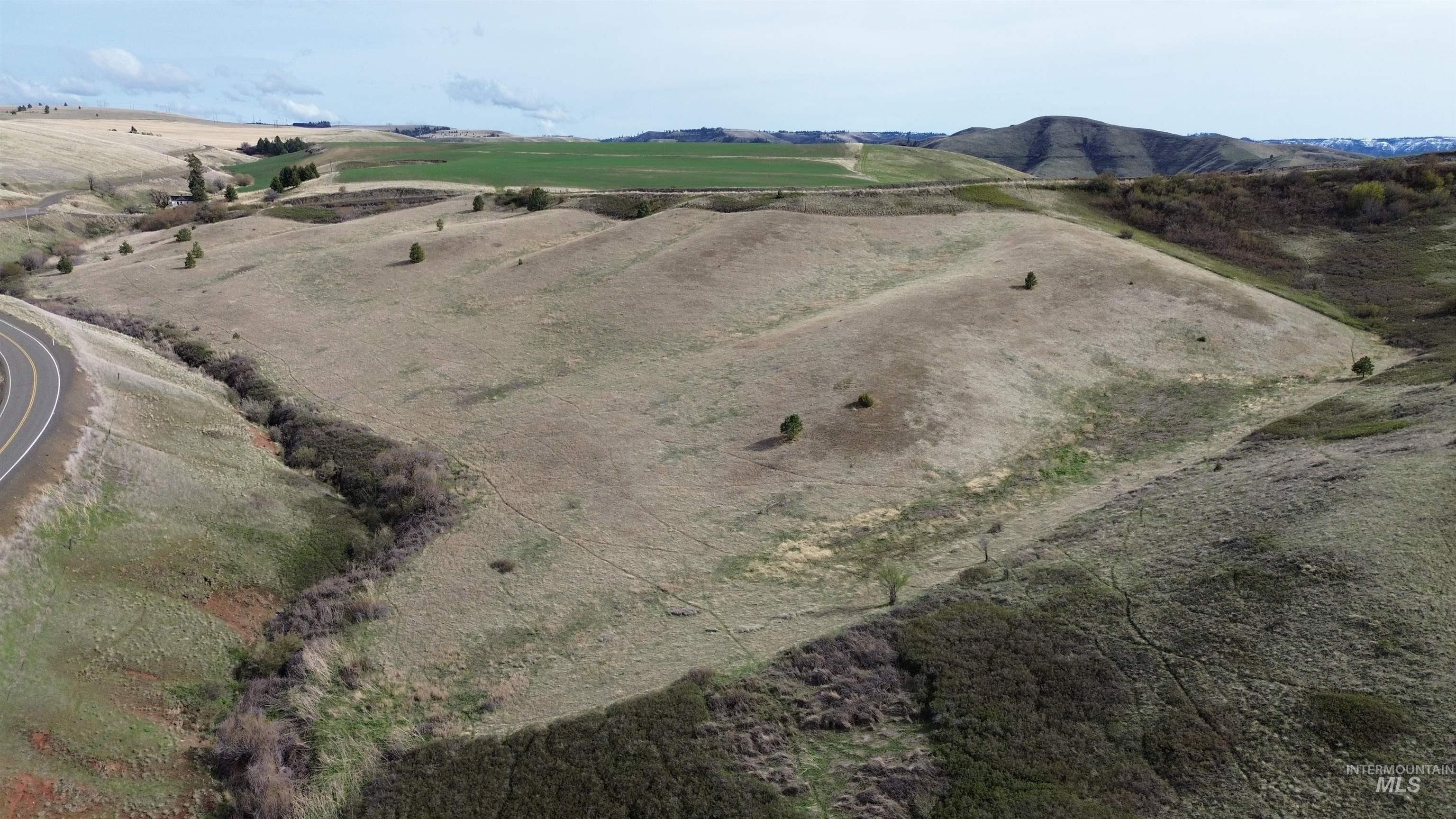 Nka Nka Blindgrade Road Pomeroy, WA 99347 - Photo 3 of 26