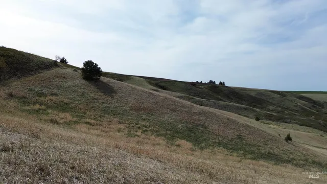 $169,000 | Nka Nka Blindgrade Road, Pomeroy, WA 99347