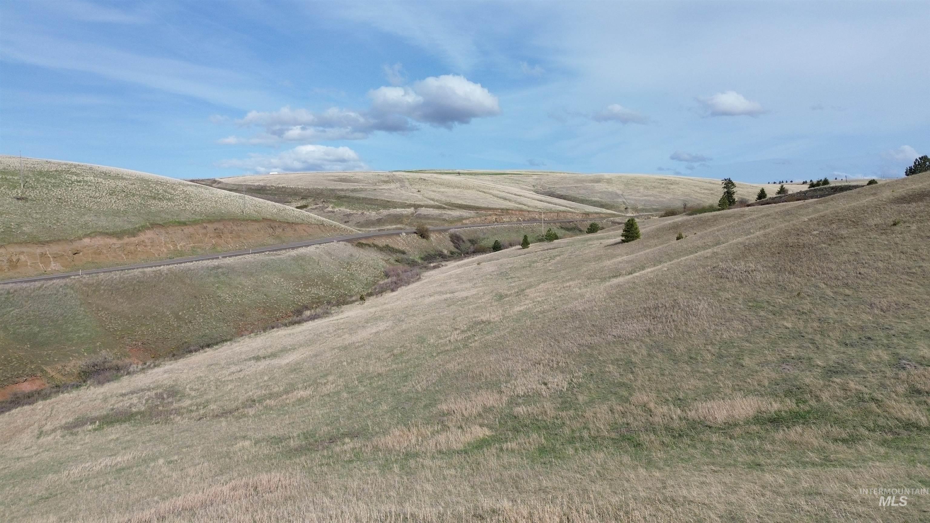 Nka Nka Blindgrade Road Pomeroy, WA 99347 - Photo 5 of 20