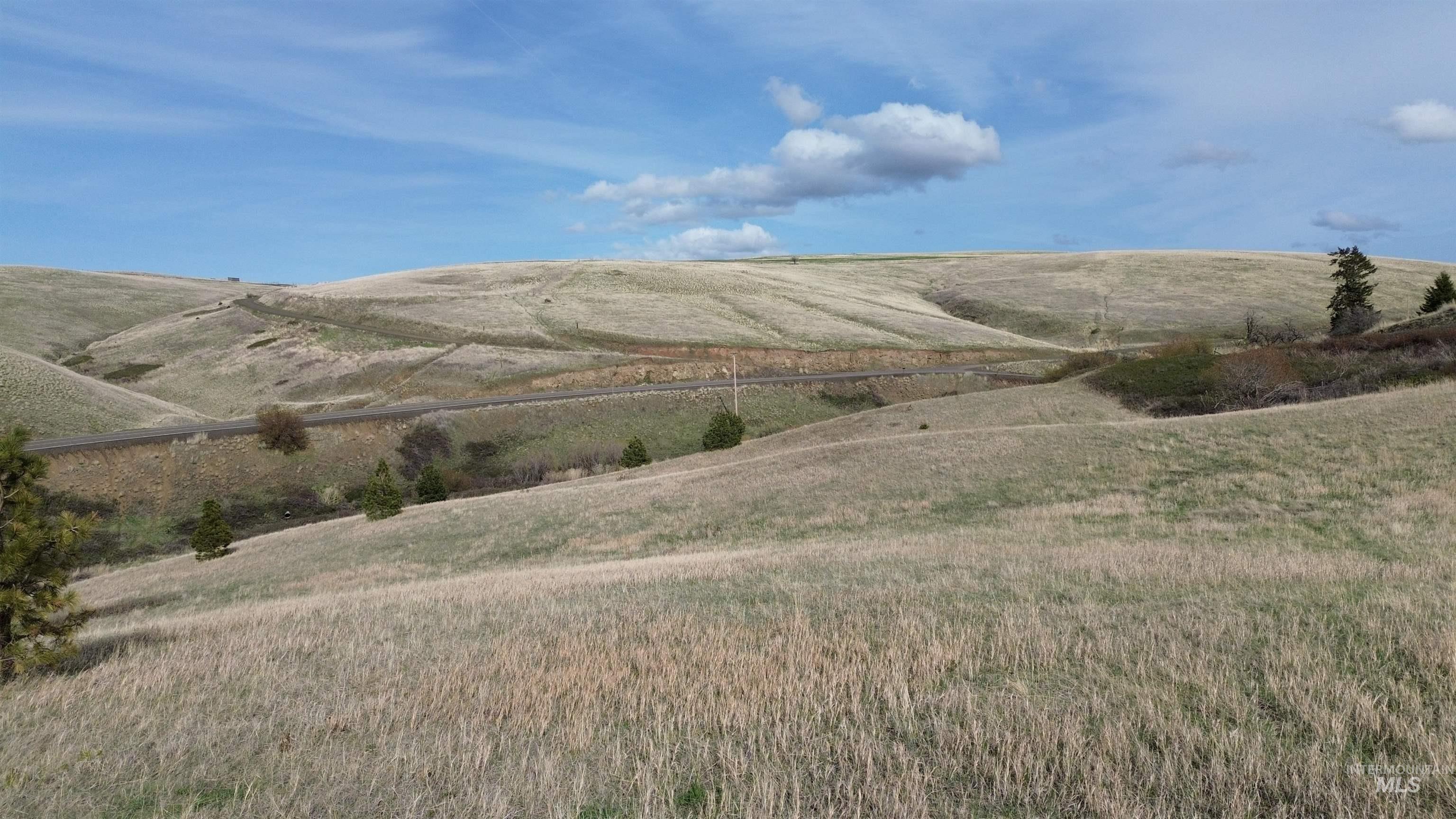 Nka Nka Blindgrade Road Pomeroy, WA 99347 - Photo 6 of 20