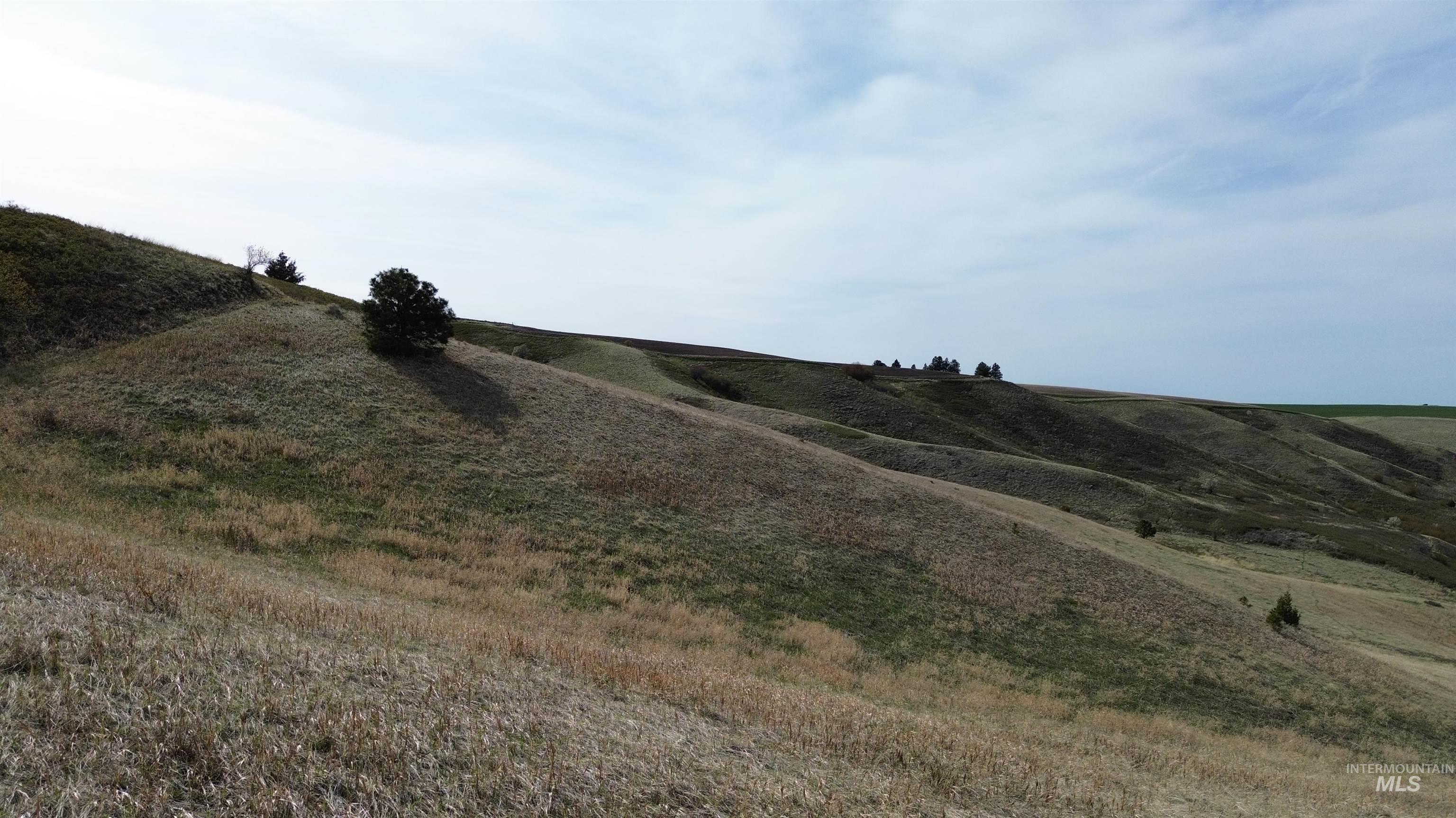 Nka Nka Blindgrade Road Pomeroy, WA 99347 - Photo 9 of 26