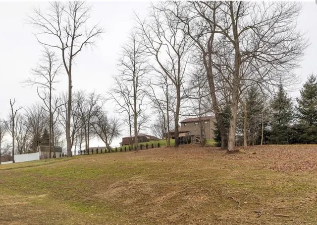 a view of outdoor space and trees
