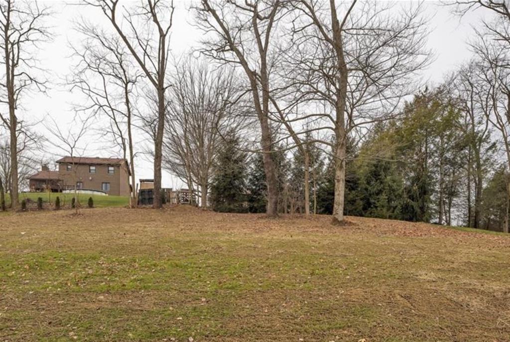 182 Murray Hill Road Tarentum, PA 15084 - Photo 5 of 35 a big yard with trees in front of it