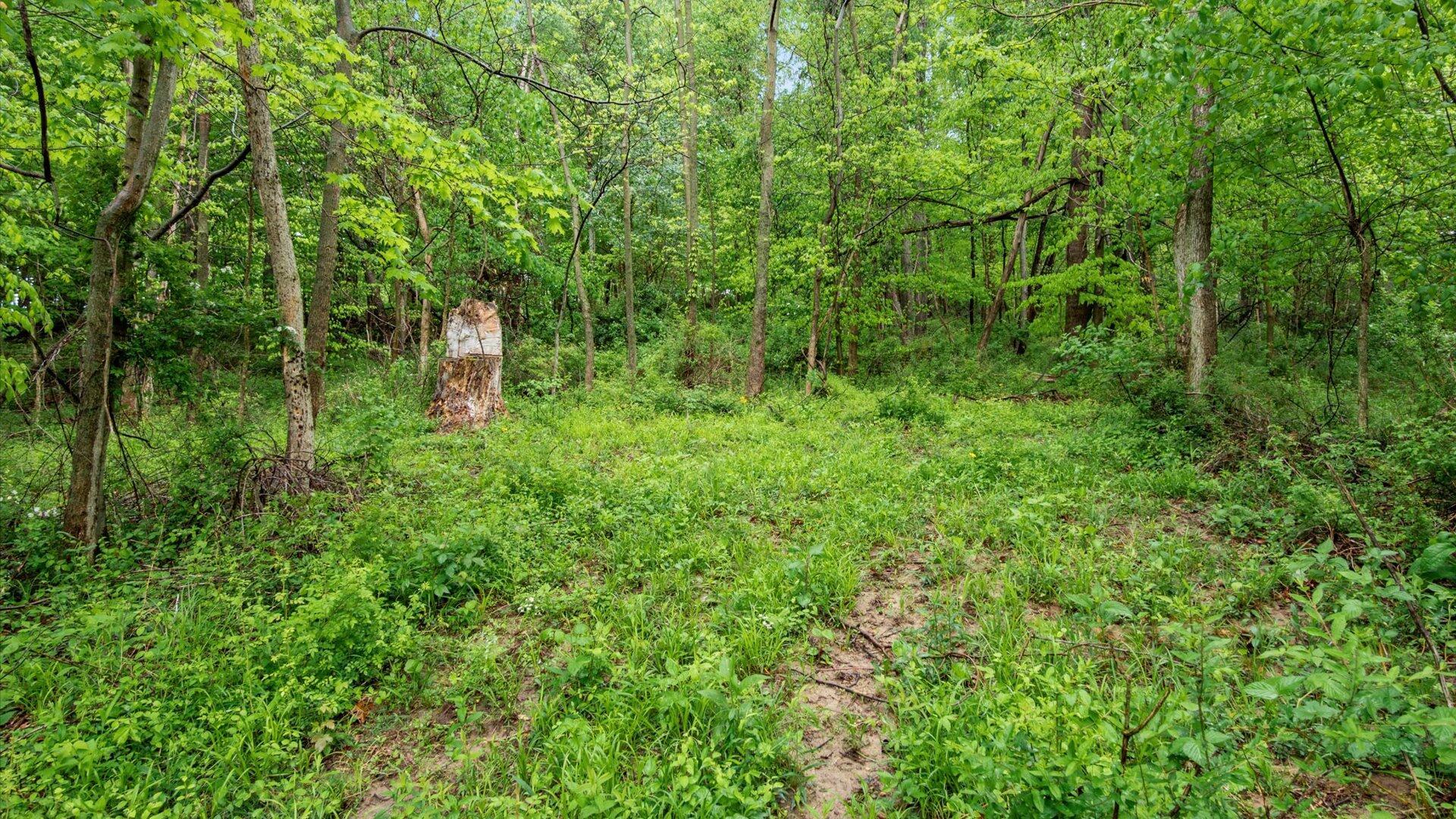 13924 George Ice Road Glenford, OH 43739 - Photo 10 of 31 12-z 13924 George 012