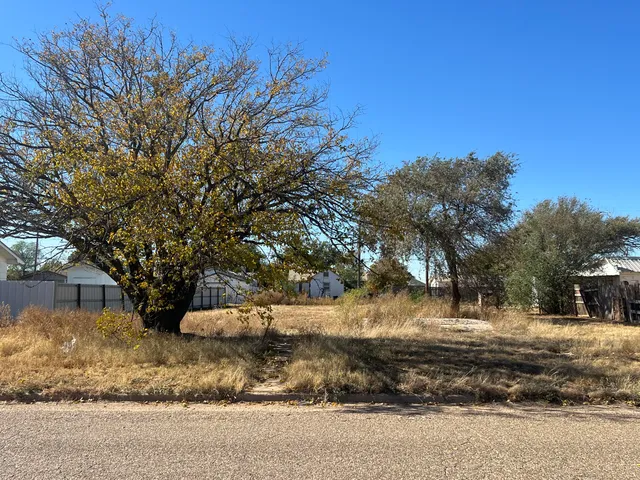 $17,000 | 229 North Durham Avenue, Crosbyton, TX 79322