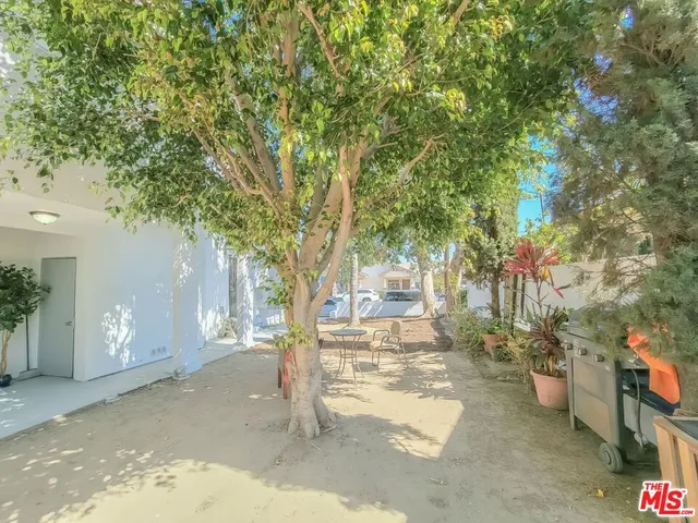a view of a yard with plants and trees