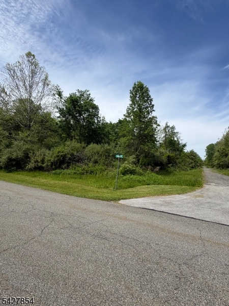 1 Bridge Road Columbia, NJ 07832 - Photo 12 of 16