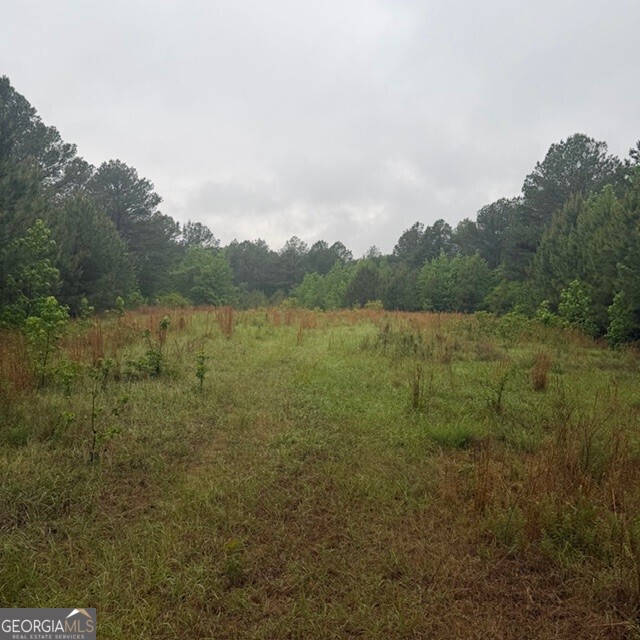 145-acres George Smith Road Talbotton, GA 31827 - Photo 11 of 36
