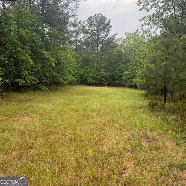 145-acres George Smith Road Talbotton, GA 31827 - Photo 12 of 36
