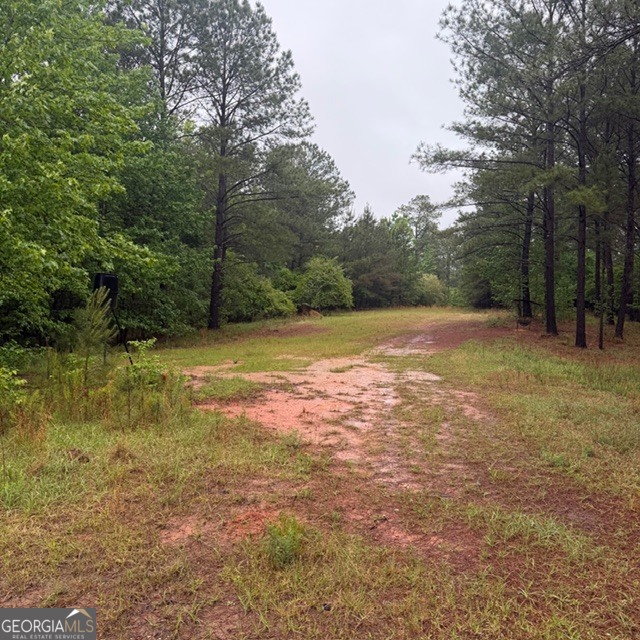 145-acres George Smith Road Talbotton, GA 31827 - Photo 13 of 36