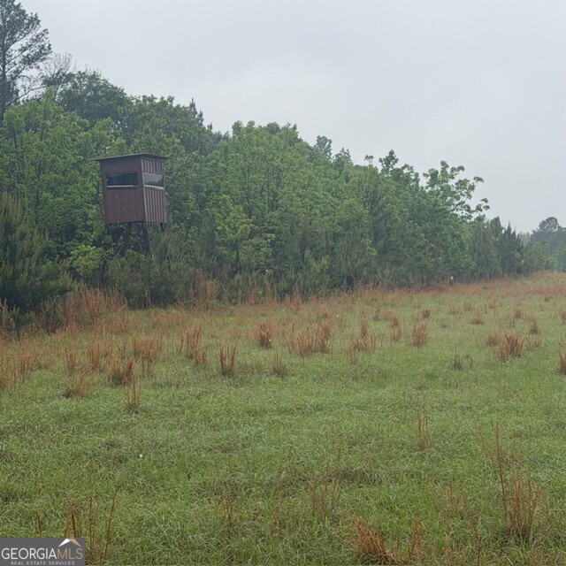 145-acres George Smith Road Talbotton, GA 31827 - Photo 14 of 36