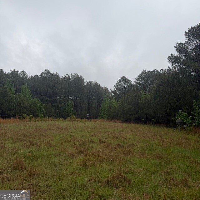 145-acres George Smith Road Talbotton, GA 31827 - Photo 15 of 36