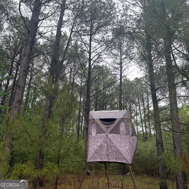 145-acres George Smith Road Talbotton, GA 31827 - Photo 16 of 36