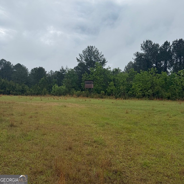 145-acres George Smith Road Talbotton, GA 31827 - Photo 17 of 36