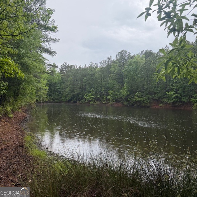 145-acres George Smith Road Talbotton, GA 31827 - Photo 18 of 36