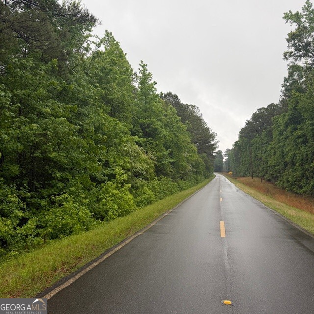 145-acres George Smith Road Talbotton, GA 31827 - Photo 2 of 36