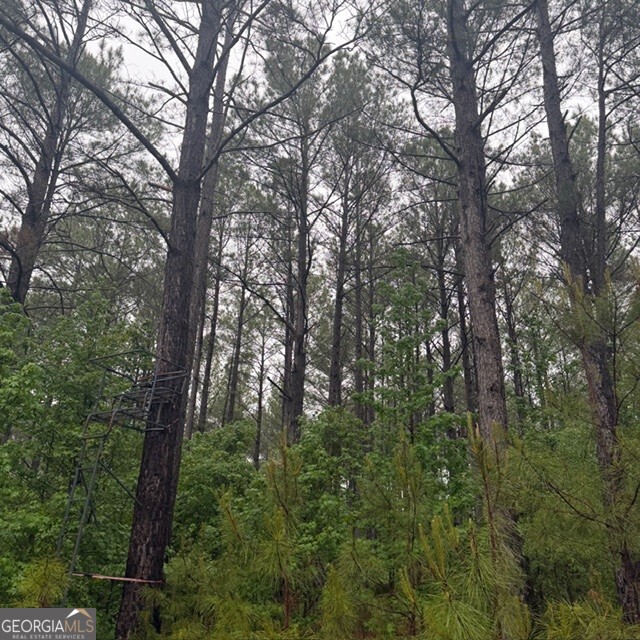 145-acres George Smith Road Talbotton, GA 31827 - Photo 21 of 36