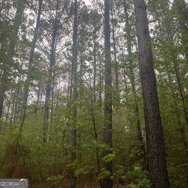145-acres George Smith Road Talbotton, GA 31827 - Photo 23 of 36