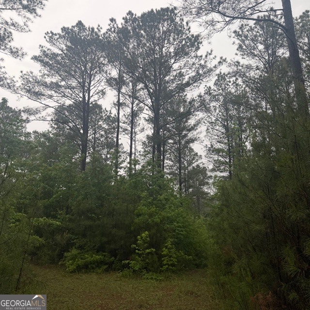 145-acres George Smith Road Talbotton, GA 31827 - Photo 24 of 36
