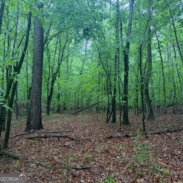 145-acres George Smith Road Talbotton, GA 31827 - Photo 25 of 36