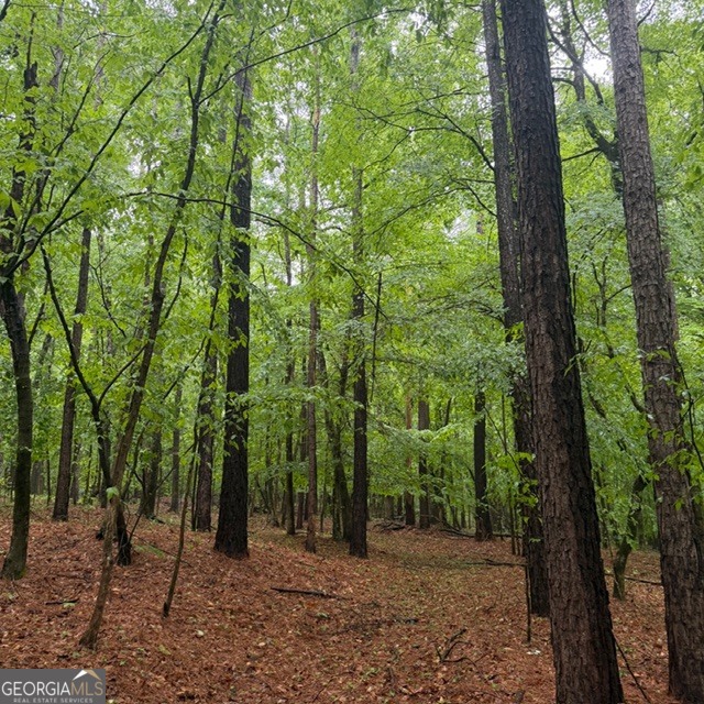 145-acres George Smith Road Talbotton, GA 31827 - Photo 26 of 36