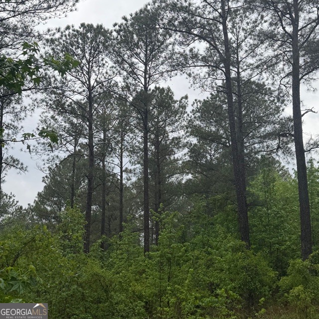 145-acres George Smith Road Talbotton, GA 31827 - Photo 27 of 36
