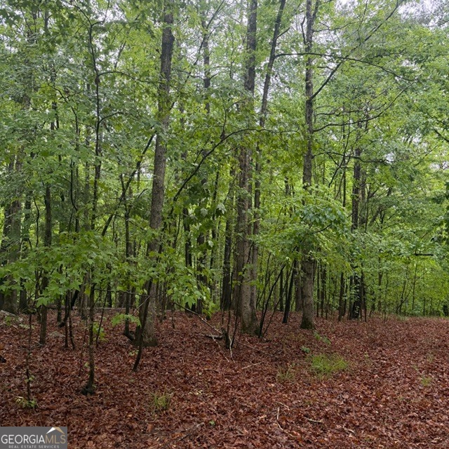 145-acres George Smith Road Talbotton, GA 31827 - Photo 28 of 36