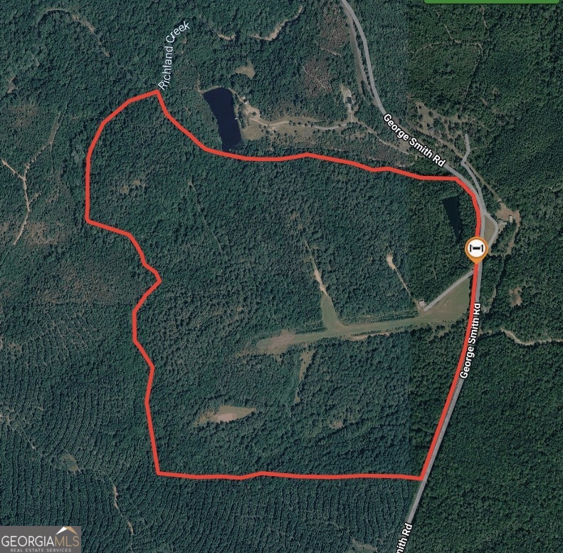 145-acres George Smith Road Talbotton, GA 31827 - Photo 36 of 36