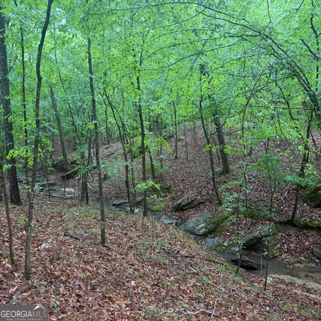 145-acres George Smith Road Talbotton, GA 31827 - Photo 4 of 36