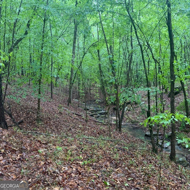 145-acres George Smith Road Talbotton, GA 31827 - Photo 5 of 36