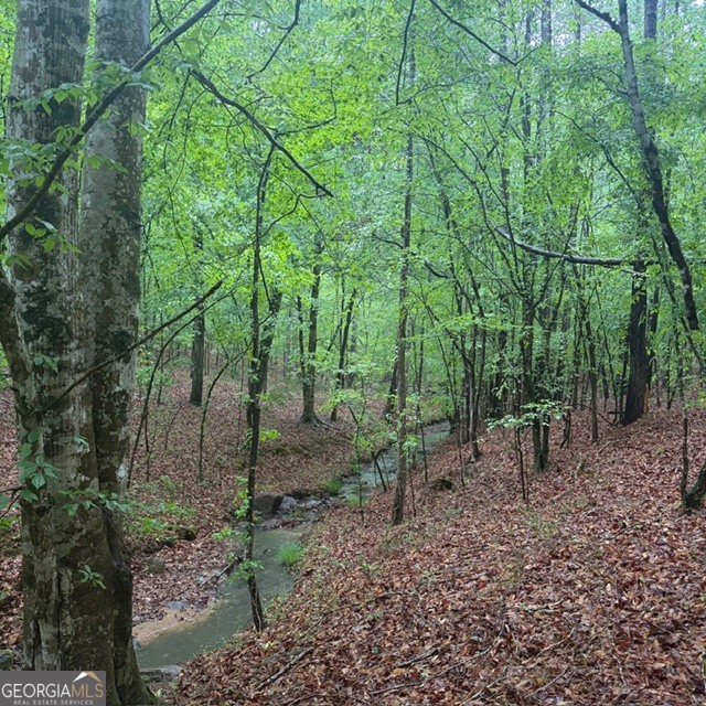 145-acres George Smith Road Talbotton, GA 31827 - Photo 6 of 36
