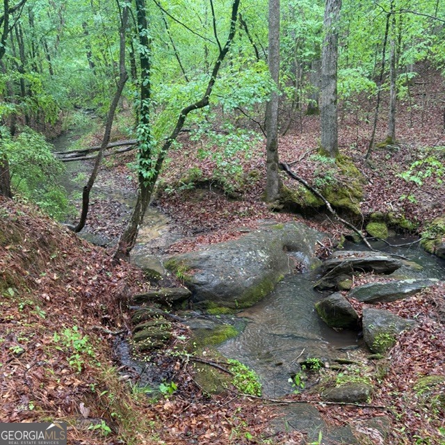 145-acres George Smith Road Talbotton, GA 31827 - Photo 7 of 36