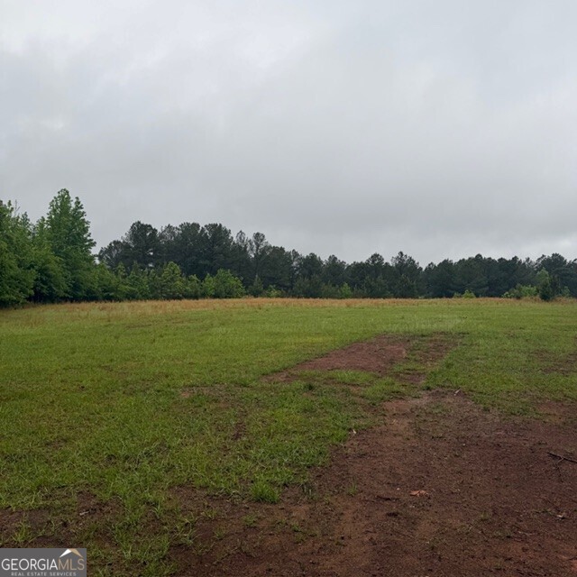 145-acres George Smith Road Talbotton, GA 31827 - Photo 8 of 36