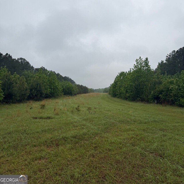 145-acres George Smith Road Talbotton, GA 31827 - Photo 9 of 36