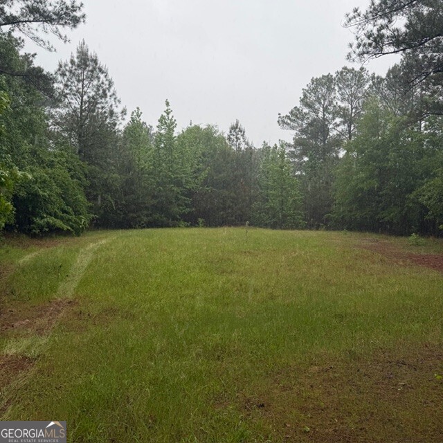 145-acres George Smith Road Talbotton, GA 31827 - Photo 10 of 36