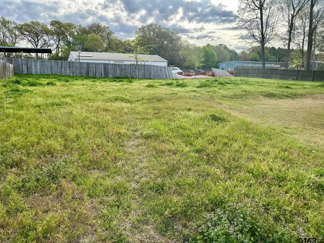 a view of a back yard