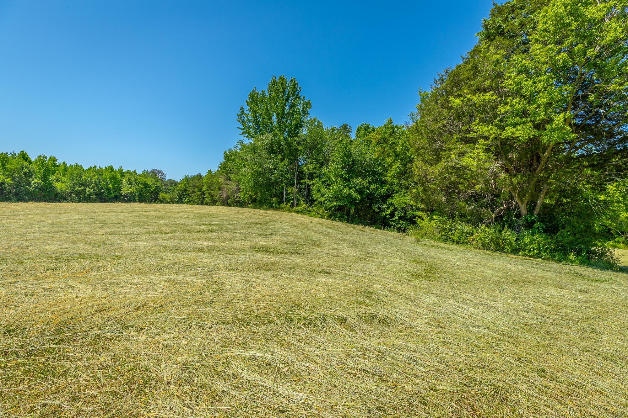 1655 West Cove Road Chickamauga, GA 30707 - Photo 36 of 62 Gallery Image 36