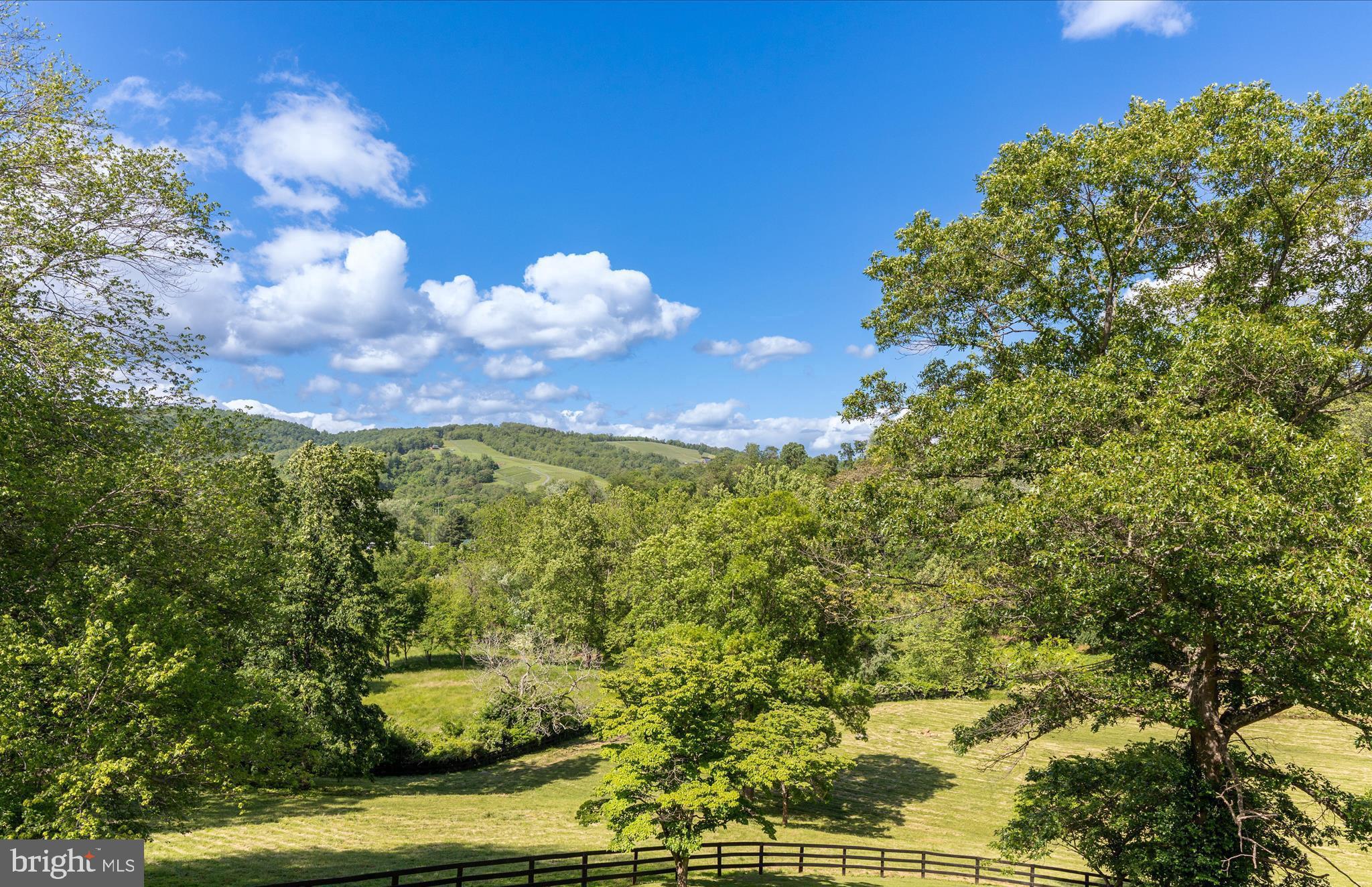 1439 Fiery Run Road Linden, VA 22642 - Photo 34 of 49 Winery views