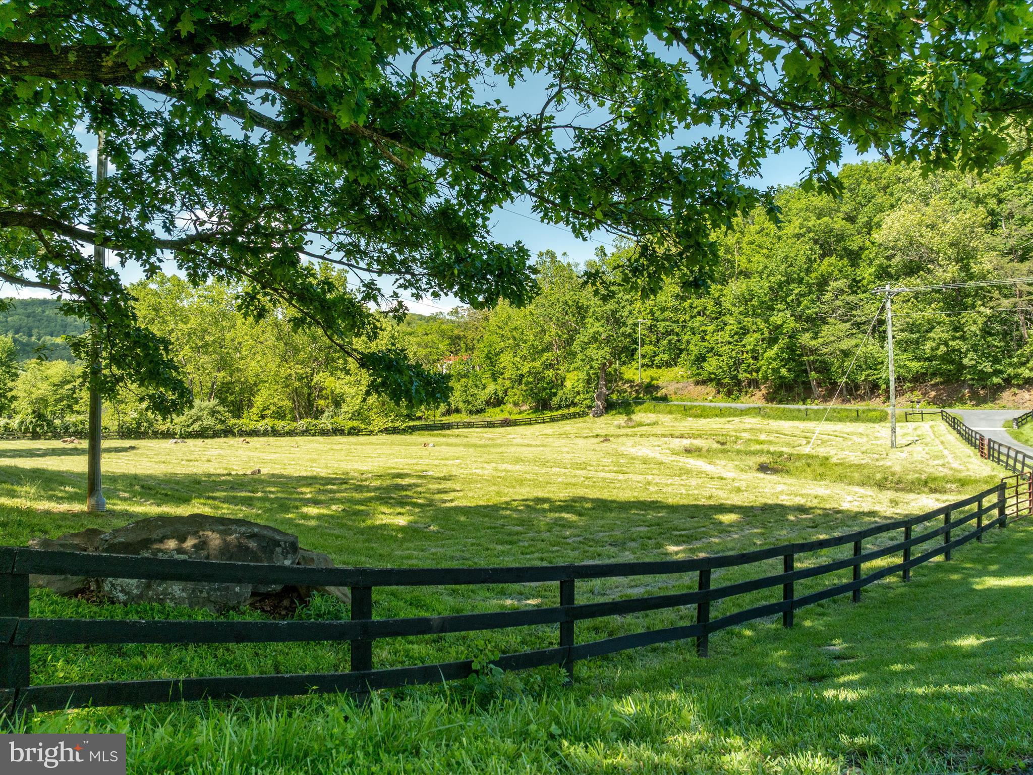 1439 Fiery Run Road Linden, VA 22642 - Photo 45 of 49 3 board fencing