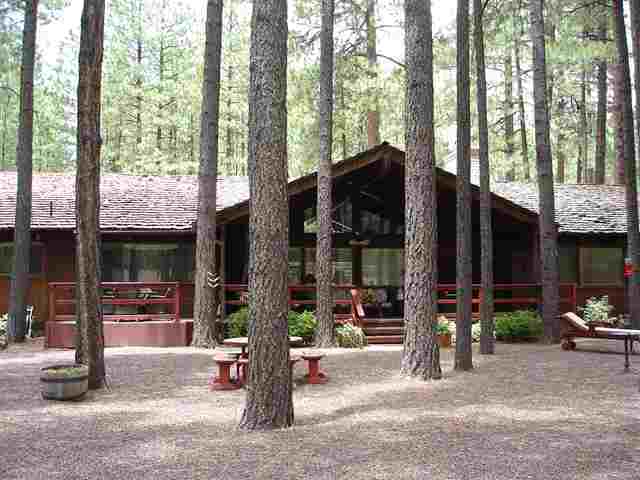 7829 Geronimo Road Pinetop, AZ 85935 - Photo 3 of 7 Gallery Image 3