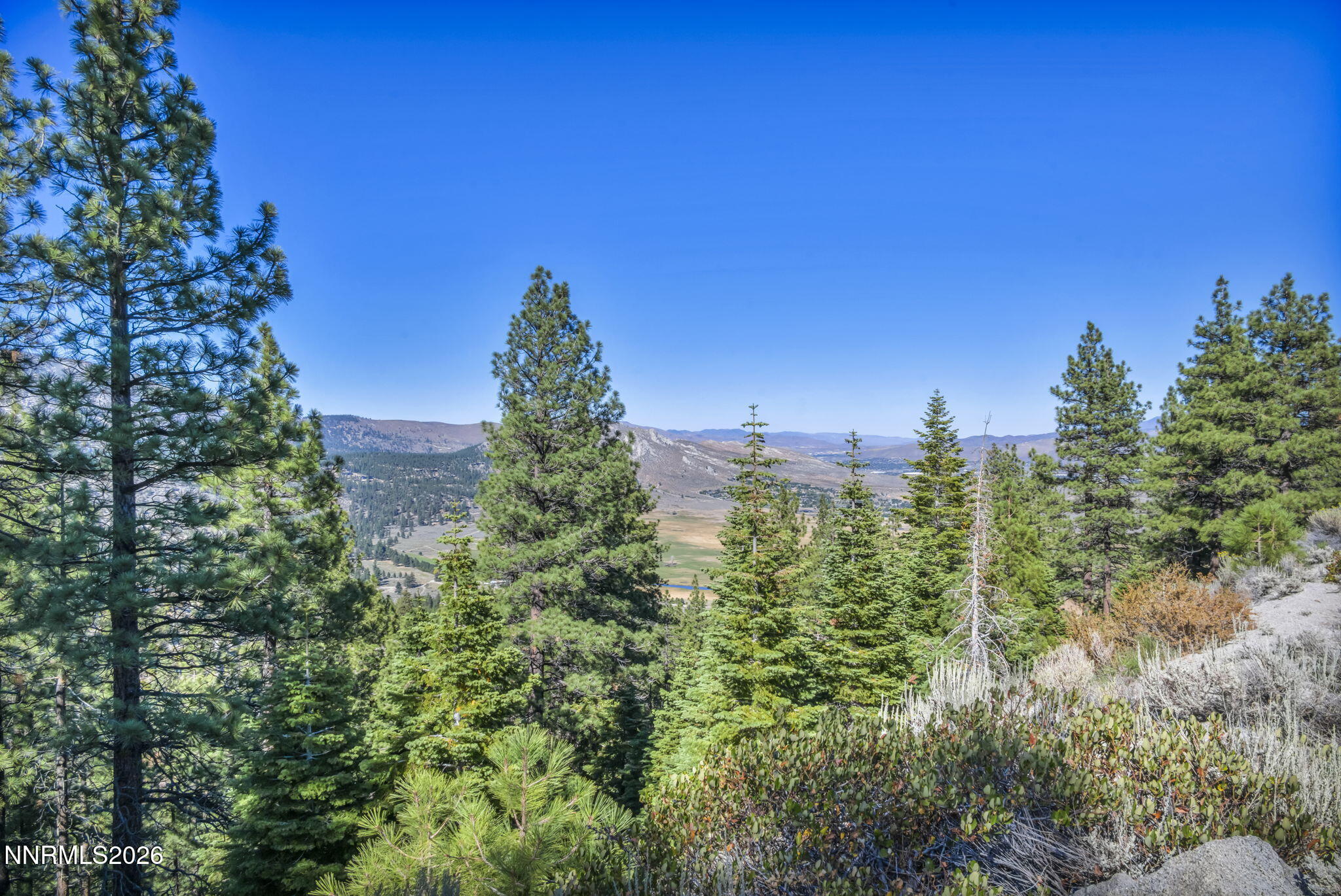 2960 Jacks Valley Road Genoa, NV 89411 - Photo 26 of 43 28-web-or-mls-jacks-valley-rd