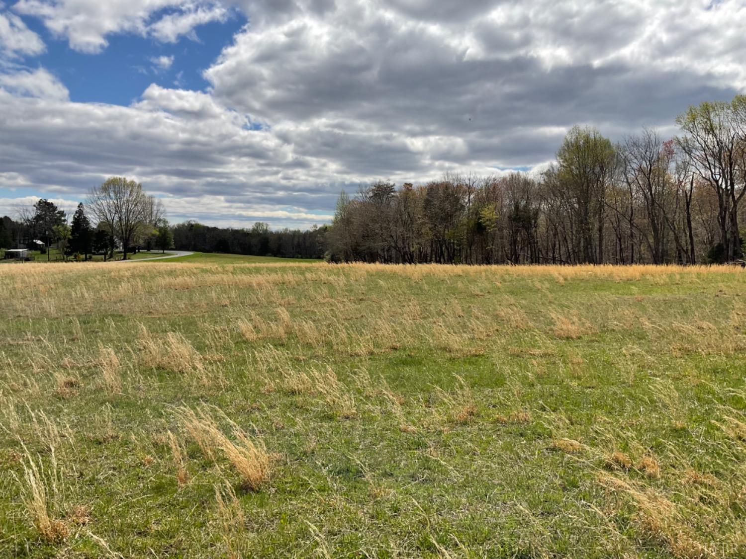 3 Falling Creek Road Bedford, VA 24523 - Photo 1 of 9 Middle Front Acreage of Lot 3 from Falling Creek Rd