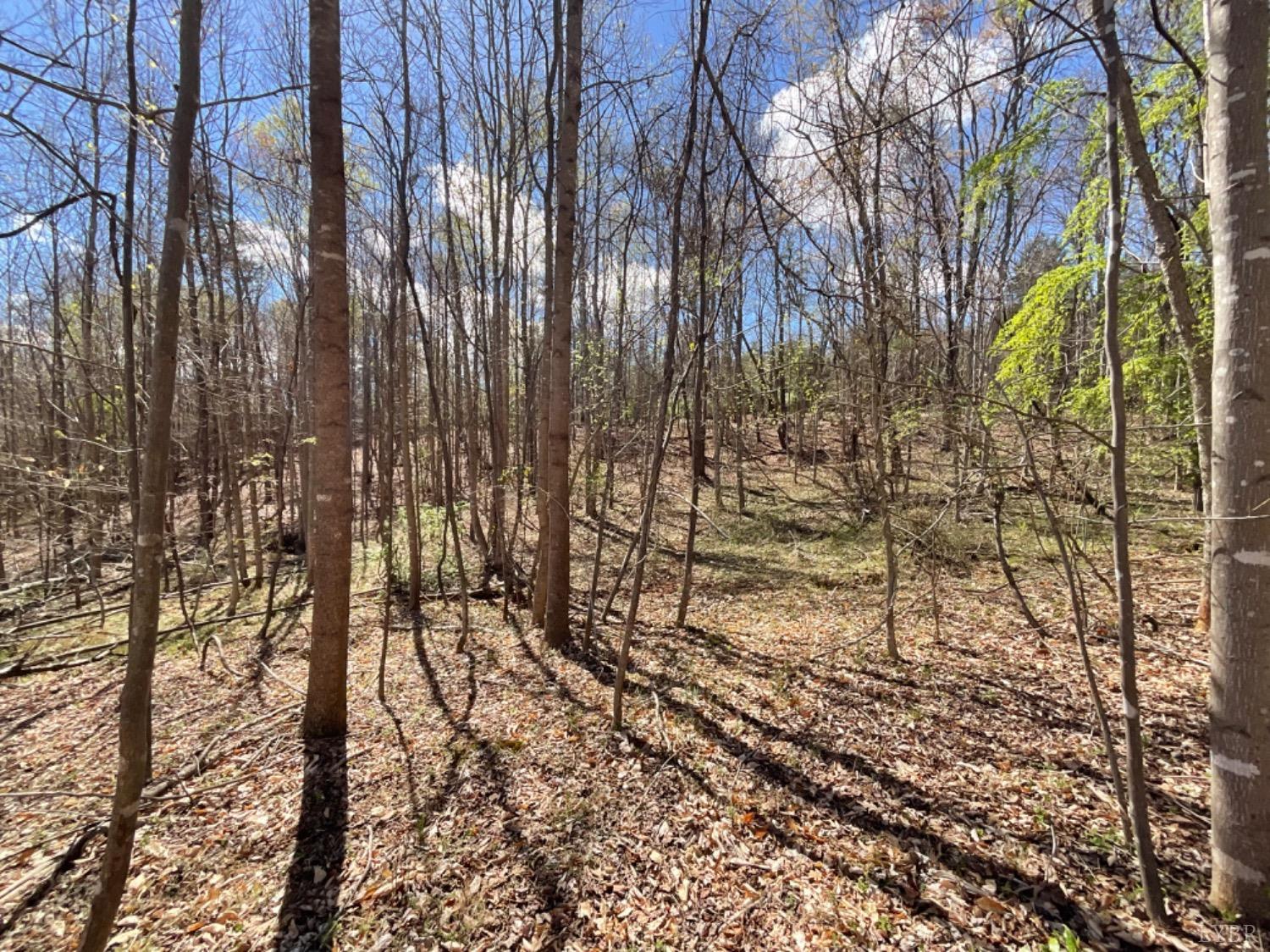 3 Falling Creek Road Bedford, VA 24523 - Photo 8 of 9 Gallery Image 8