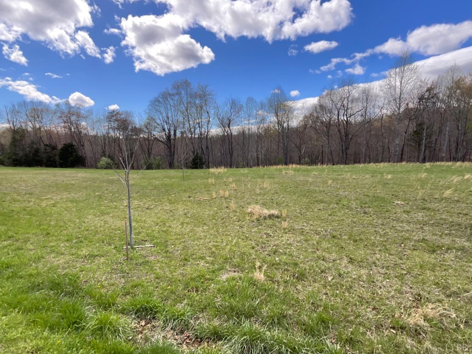 3 Falling Creek Road Bedford, VA 24523 - Photo 9 of 9 Back Property Line