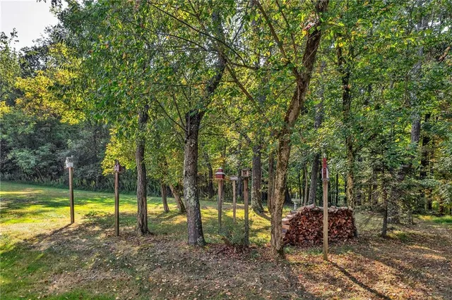 a view of a park with large trees