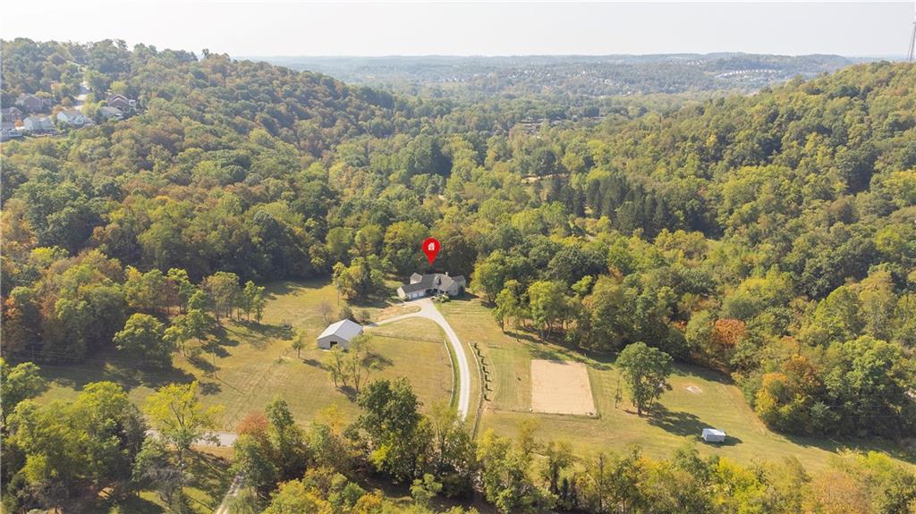 369 Maple Lane Canonsburg, PA 15317 - Photo 45 of 50 a view of a forest with a mountain