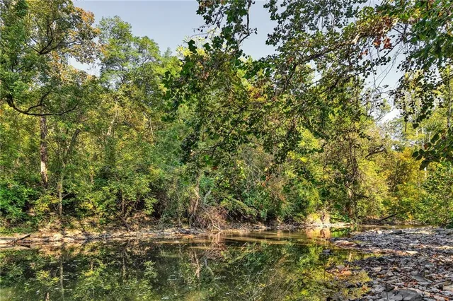 a view of a yard with a tree