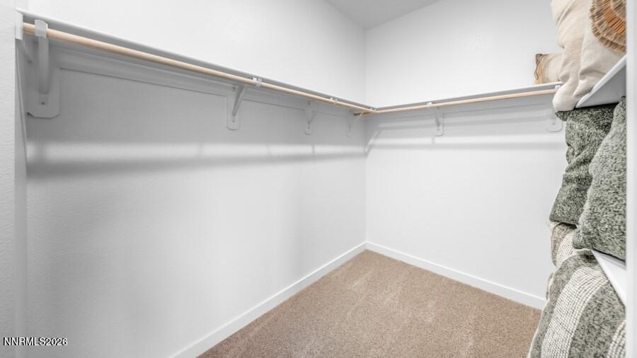 1037 North Wind Drive Carson City, NV 89701 - Photo 22 of 23 Primary Closet