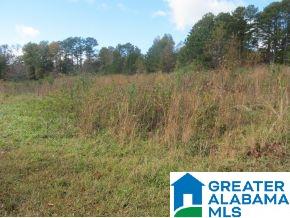 9231 Mountain High Road Warrior, AL 35180 - Photo 6 of 7